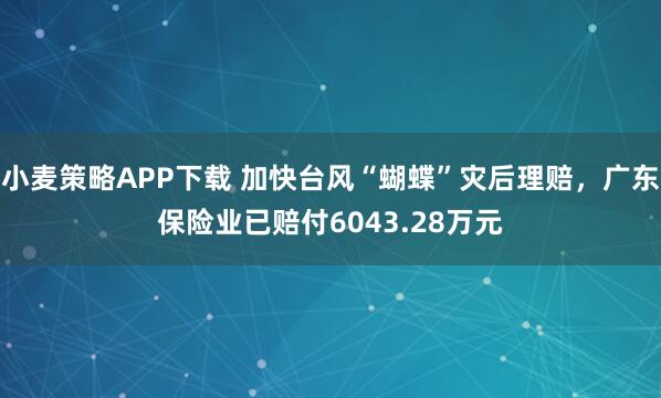 小麦策略APP下载 加快台风“蝴蝶”灾后理赔，广东保险业已赔付6043.28万元