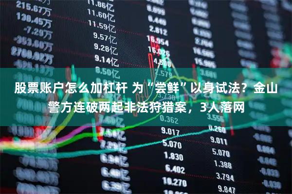 股票账户怎么加杠杆 为“尝鲜”以身试法？金山警方连破两起非法狩猎案，3人落网